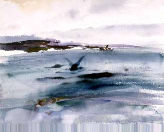 Northern Coast Study