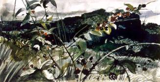 Blackberry Picker Study