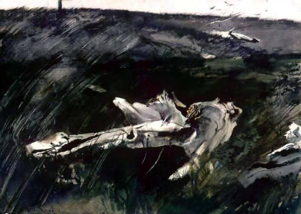 Burnt Island Driftwood