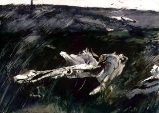 Burnt Island Driftwood