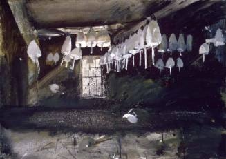 Tomorrow The Outer Shoals Study