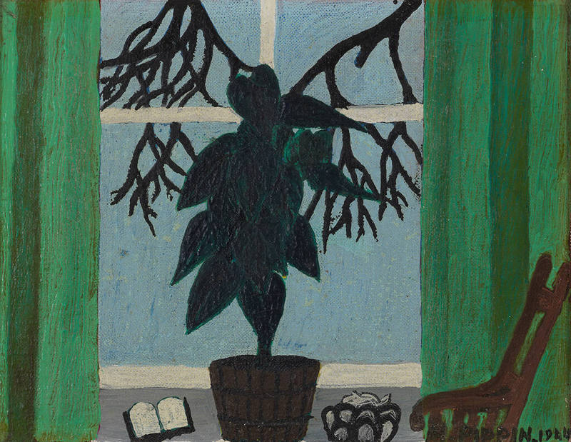 Potted Plant in Window