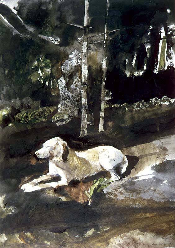 Rattler Asleep on Ledge