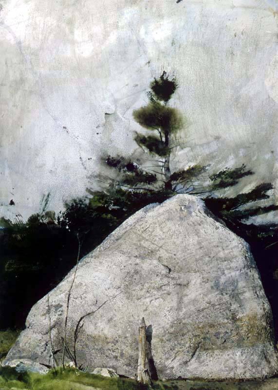 Far From Needham Study