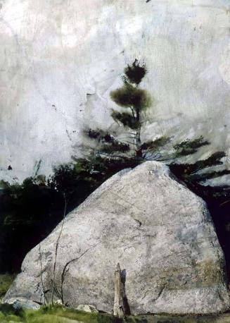 Far From Needham Study