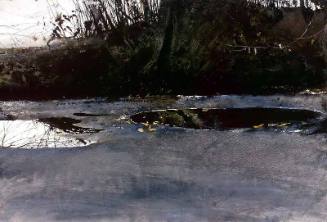 Ice Pool - first version