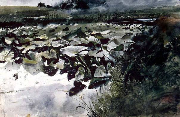 Lily Pads - second version