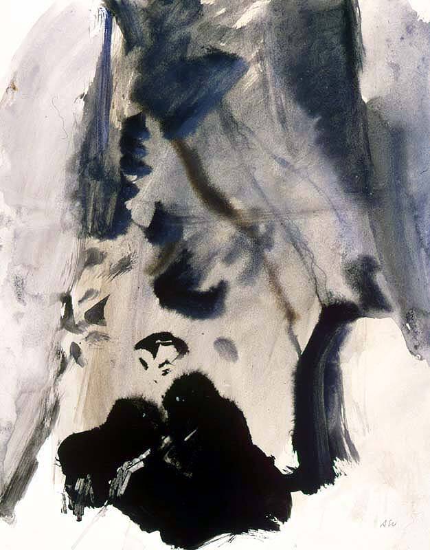 Corner Of The Woods Study