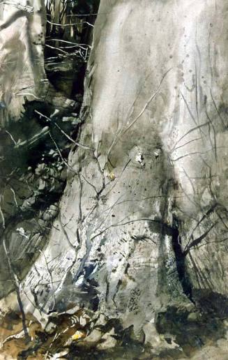 Corner Of The Woods Study