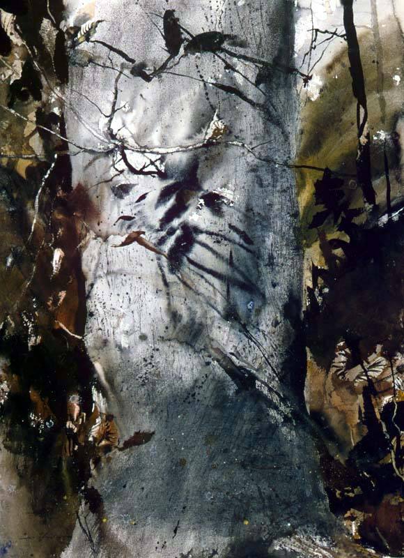 Corner Of The Woods Study