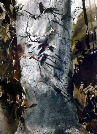 Corner Of The Woods Study