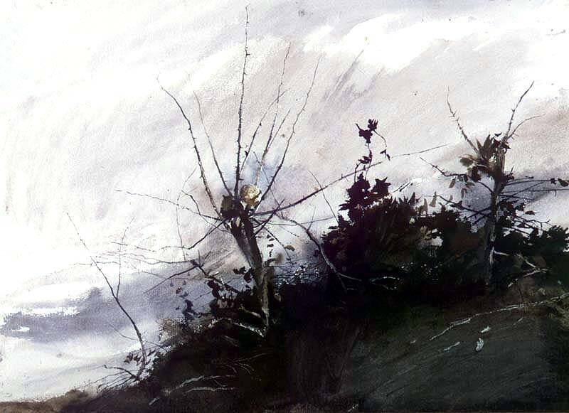 Osage Hedge, Study for Roasted Chestnuts