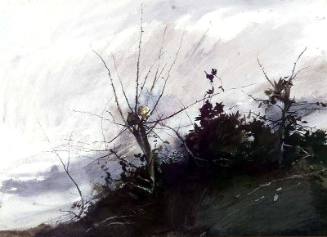 Osage Hedge, Study for Roasted Chestnuts