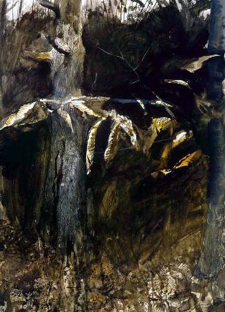 Low Limb - first version