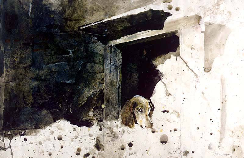 Hound, Study for Raccoon