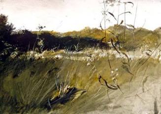 Above the Orchard - first version