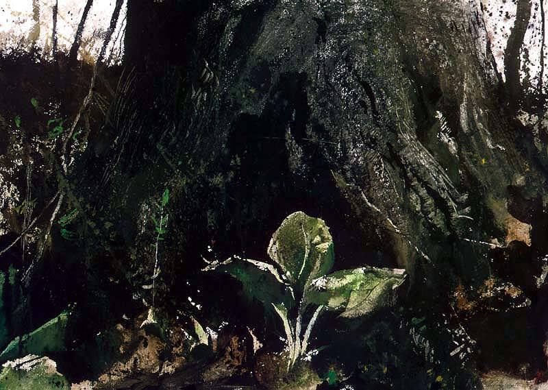 Skunk Cabbage - fourth version