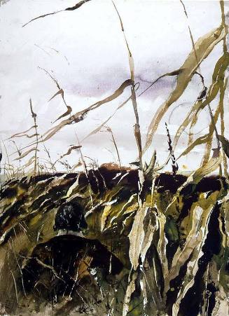 Corn Tassels - second version