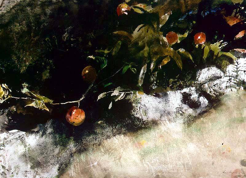 Orchard at Eight Bells