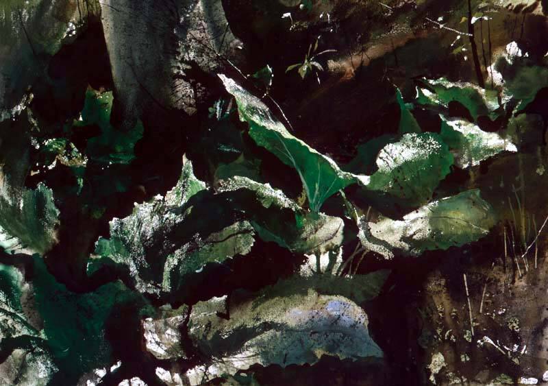 Skunk Cabbage - fifth version