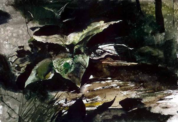 Skunk Cabbage - third version