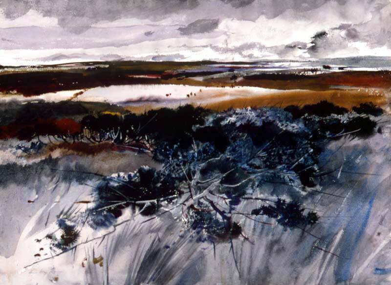 Blueberry Rakers, Blueberry Country - first version