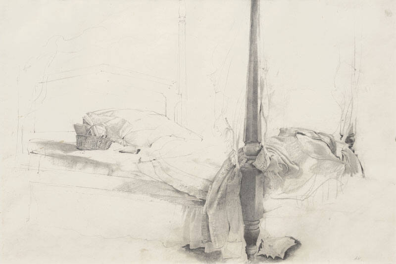 The Bed, Study for Chambered Nautilus