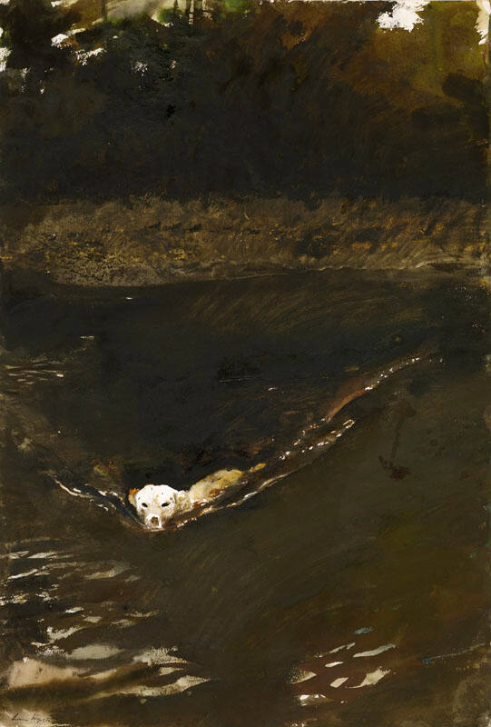Nell Swimming