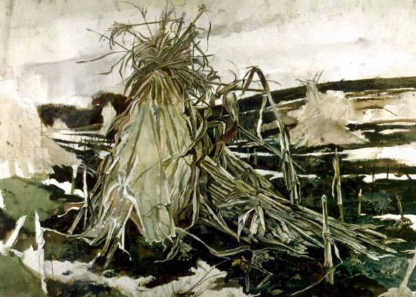 Winter Corn Fields Study