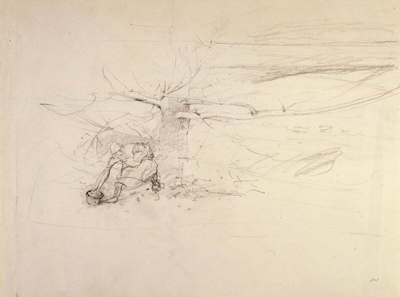 Pine Baron Study