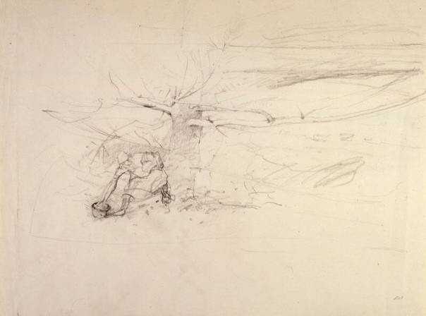 Pine Baron Study