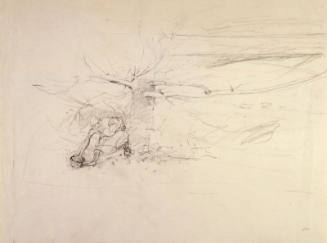 Pine Baron Study