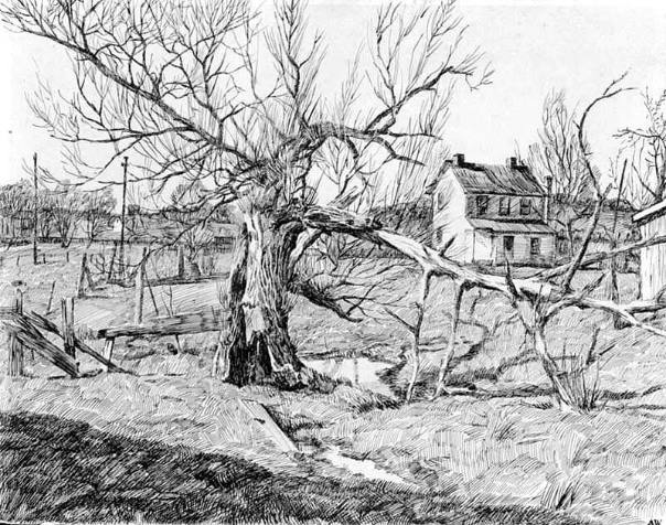 Willow Tree at John McVey's House