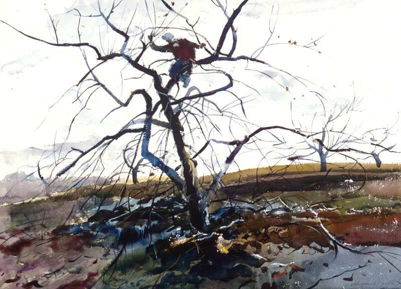 Pruning, Study for Spring Pruning