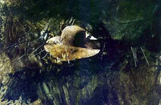 Brown Hat, Study for Distant Thunder