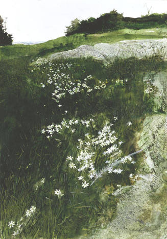 Starflowers