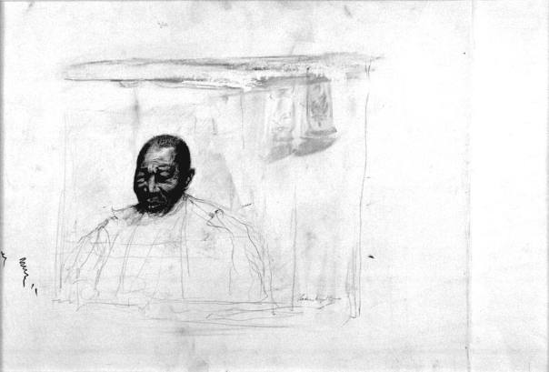 A Crow Flew By Study