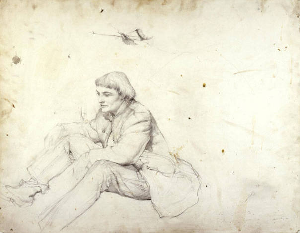 Corner Of The Woods Study