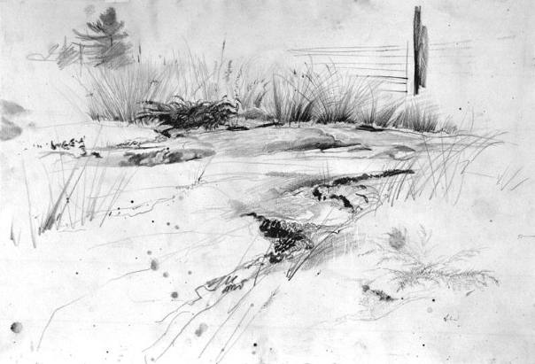 East Waldoboro Study
