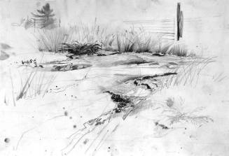 East Waldoboro Study