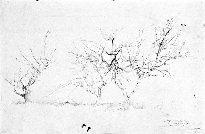 Fields Of Broad Cove Study