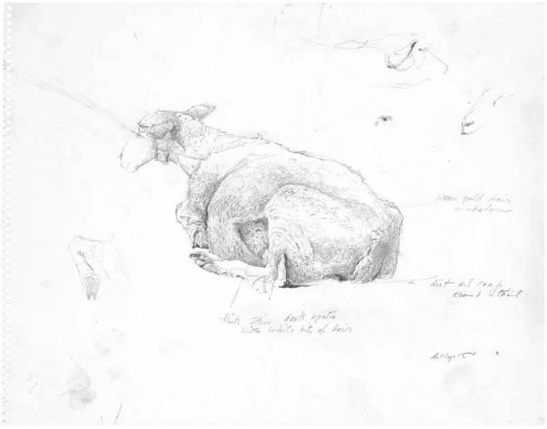 Far From Needham Study