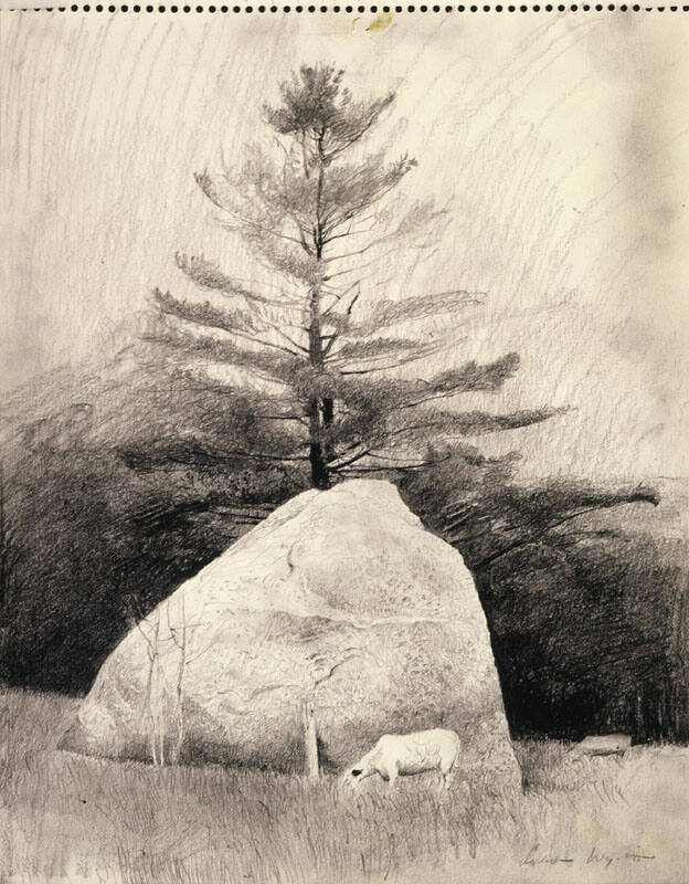 Far From Needham Study