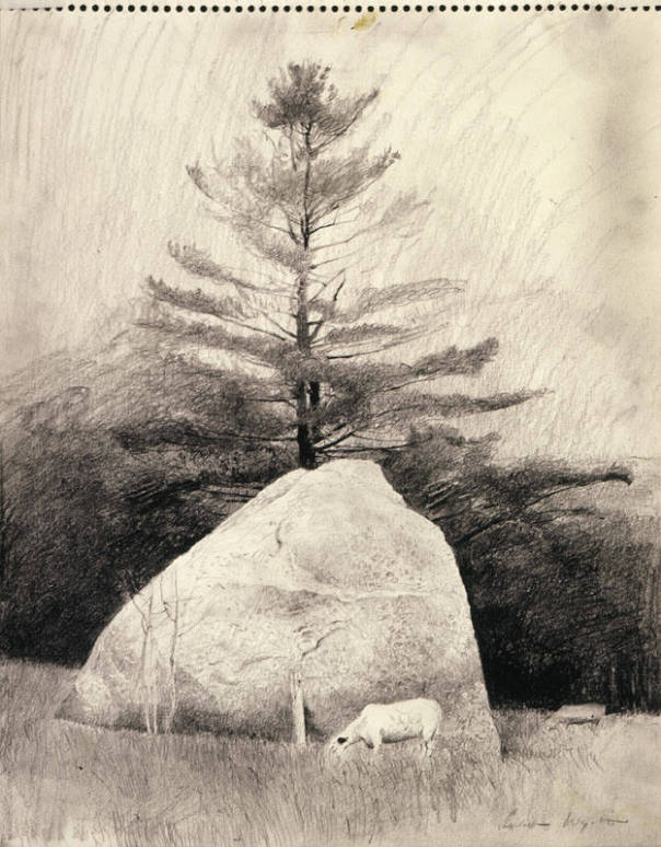 Far From Needham Study