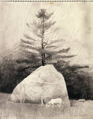 Far From Needham Study