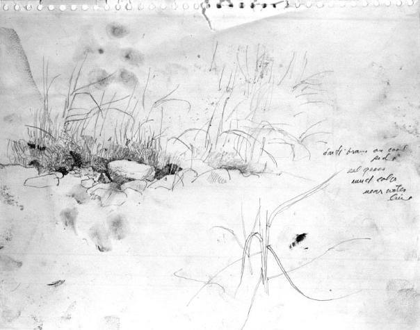 Intruder, The Study