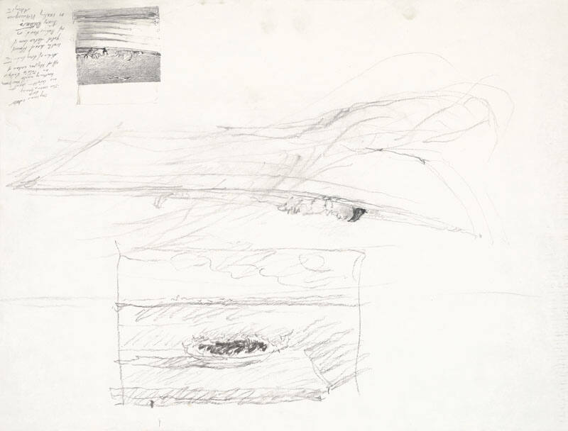 Berried At Sea Study and Adrift Study