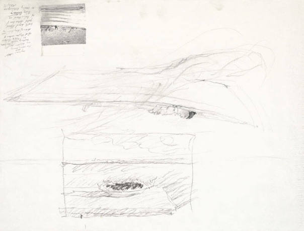 Berried At Sea Study and Adrift Study