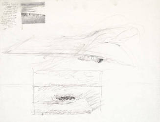 Berried At Sea Study and Adrift Study