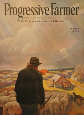 Bringing in the Sheep (Progressive Farmer, cover illustration)